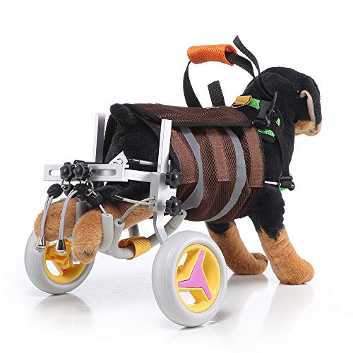 Sobotoo Haustier-Rollstuhl, verstellbar, Hund, Rollstuhl, Rollstuhlwagen für Hunde mit Behinderung, Hund, Bein, Trainingsgerät für Hinterbeine, Rehabilitation, 2 Räder