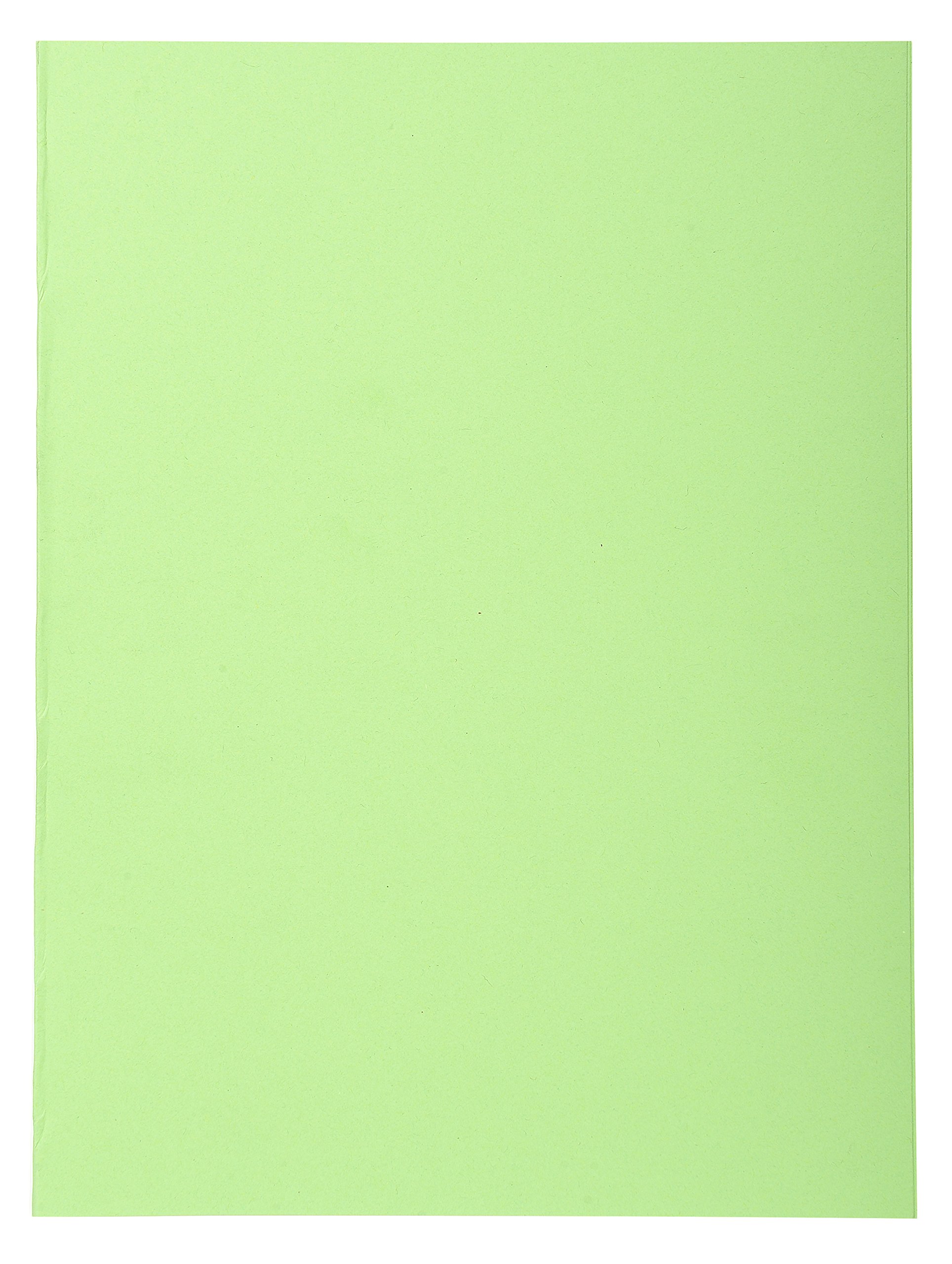 Exacompta 410013E Packung (mit 100 Aktendeckeln Forever, aus Recycling Karton 250 g, DIN A4, 21 x 29,7 cm) lindgrün