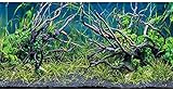 AWERT 182,9 x 45,7 cm, tropisches Aquarium-Hintergrund, Flussbett & See, Wasserpflanze, Unterwasserbaum, Zweig, Aquarium-Hintergrund, Vinyl