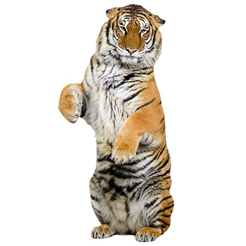 GRAZDesign Wandtattoo Tiger, Wandaufkleber Afrika Tattoo, Wohnzimmer Tiere Asien / 117x57cm