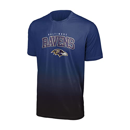 Foco Baltimore Ravens NFL Gradient Mesh Jersey Short Sleeve Herren T-Shirt - M