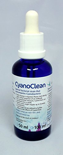 Korallenzucht.de Cyanoclean, 1er Pack (1 x 10 ml)