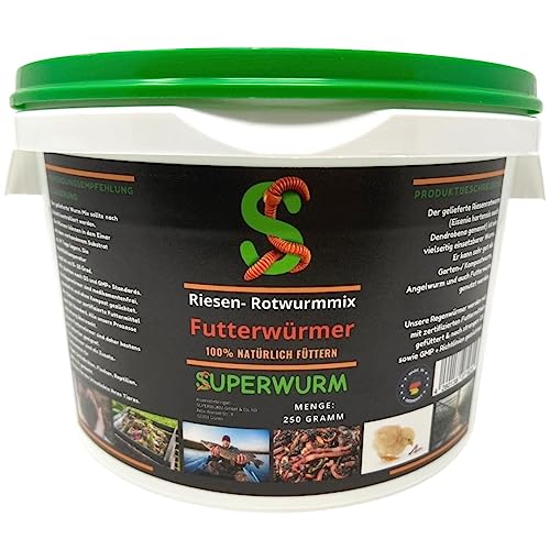 Futterwurm-Mix 250g (ca.300 St.) - Der Riesen-Rotwurmmix mit lebenden Futterwürmern I Futterwürmer für eine gesunde & nachhaltige Fütterung Ihrer Fische, Reptilien, Hühner, Schildkröten oder Vögel