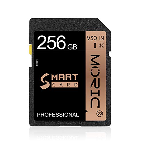 256 GB SD Karte SDXC UHS-I Karte High Speed Class 10 Speicherkarte für professionelle Fotografen, Videografen, Enthusiasten