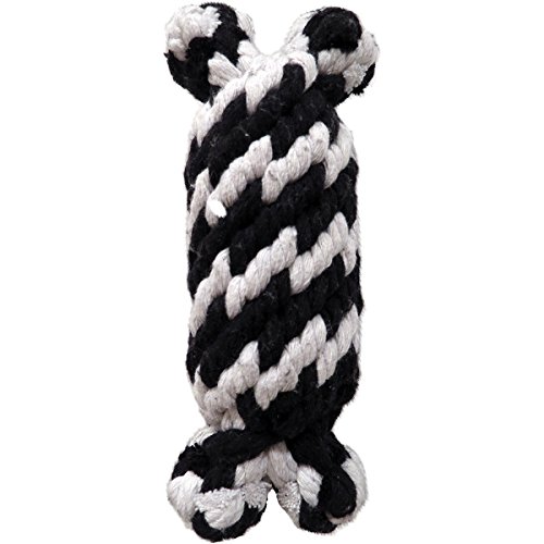 Scoochie Pet Products Super Scooch geflochtenen Seil Mann mit Squeeker Hundespielzeug Hunde Spielzeug, klein, 16,5 cm