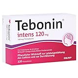 Tebonin Intens 120 mg Filmtabletten