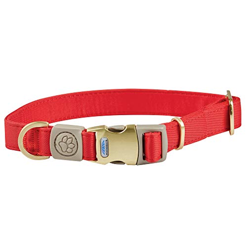 Weatherbeeta Elegance Dog Collar Medium Red