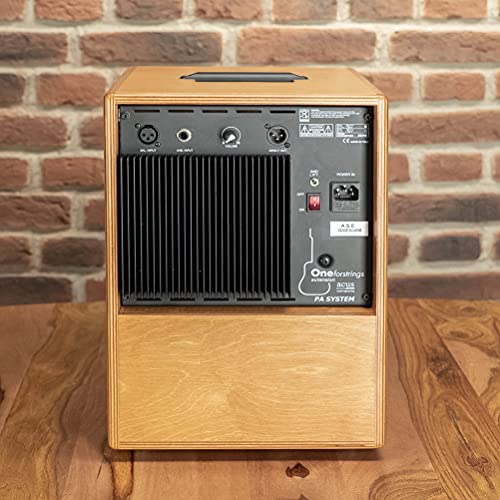 Acus One 8 Extension Cabinet Wood · Akustikgitarren-Verstärker