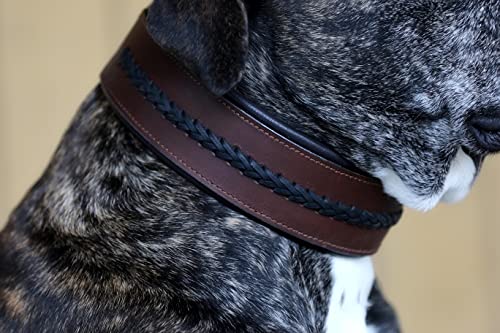 Stitch Halsband Leder Lederhalsband BREIT geflochten Zier Hundehalsband Tysons 5 Kombis zur Wahl M L XL hohe Zugkraft (Braun / Schwarz, XL)