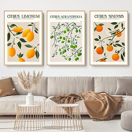 EXQUILEG 3er Stilvolles Citrus Bilder Set Citrus Poster Kunstdrucke Moderne Wandbilder Vintage Wanddeko Ohne Rahmen Premium Für Wohnzimmer Schlafzimmer Esszimmer (50 * 70cm)
