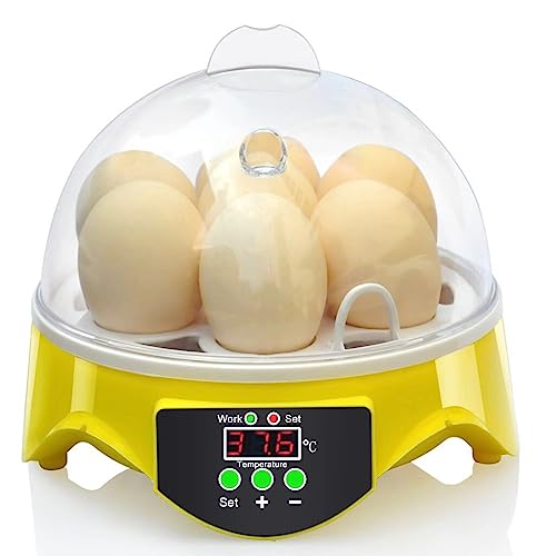 7 Eier Inkubator 1-7 Eier mit Feuchtigkeitsanzeige, Automatischer Eierwender, Eierkerze, mit Griff, Gleichmäßige Erwärmung, Großer Raum, mit Isolierbox, Ente Hatchery