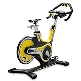Horizon Fitness GR7 Indoor Cycle, schwarz/gelb 132 x 56 x 100 (cm)