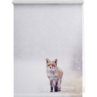 Seitenzugrollo »Klemmfix Motiv Fuchs im Schnee«, LICHTBLICK, Lichtschutz, ohne Bohren, freihängend, bedruckt
