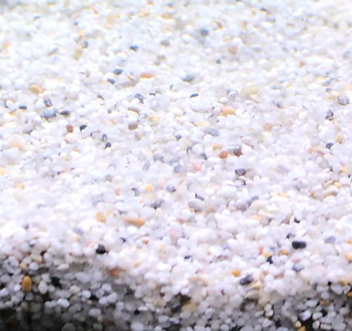 Silbermann Natural Gravel, Heller Aquarienkies, 2-4ml Körnung, 10kg