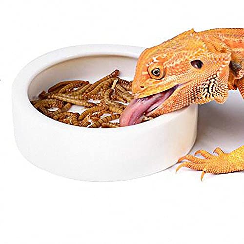 RunXF Große Reptilien-Schüssel aus Keramik, rund, 12,7 cm, Bartdrache, Leopard, Gecko, Wasserfutterspender, Anti-Escape, Dubia, Lebendfutterteller mit tiefem Rand für Eidechse, Gecko, Schildkröte (L)