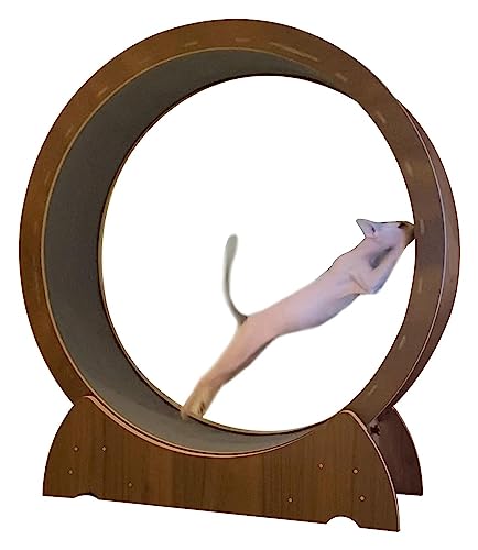 Katzenlaufband, Katzen-Hamster-Rad zur Gewichtsreduktion bei Haustierkatzen, Indoor-Katzen/Kätzchen/Spielzeug, einfache Montage