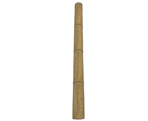 1 Stück Riesen Bambusrohr Petung 200cm gelb-braun mit dickem 14-16cm Durchmesser - XXL Bambusstange behandelt mit Borsalz 2m lang