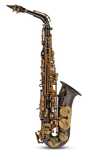 Roy Benson RB700603 Eb-Alt Saxophon MOD.AS-202K schwarz lackiert, inkl. leichtem Rechtecketui