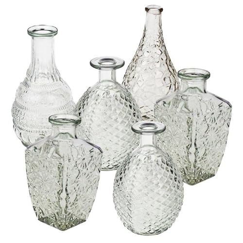 Annastore 12 x Vasen aus Glas Dekovasen Glasvasen Dekogläser Deko Glas Vintage Glasflaschen Größe 14,8-20 cm/ 12 St. / 4 Modelle
