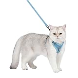 Best Pet Supplies Voyager Step-In Lock Hundegeschirr, Allwetternetz, verstellbar, für Katzen und Hunde geeignet, Babyblau (passender Rand), XXS