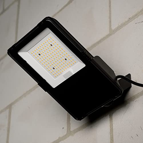 proventa® CREE Außen-LED-Strahler 50 Watt 7.750lm IP66 neutralweiß Korrosivität C4