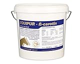 Equipur ß-Carotin 3kg