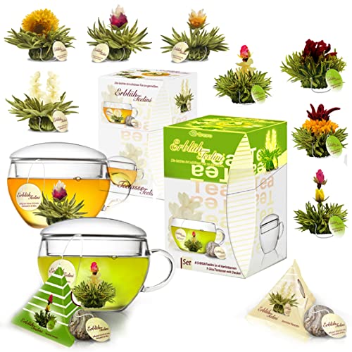 Creano Teeblumen Geschenkset ErblühTeelini - Grüner Tee - mit Teeglas und 8 Teeblumen im Tassenformat