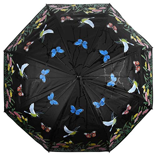 SIDCO Regenschirm Farbwechsel Vögel Zauberschirm Schirm Stockschirm wechselt Farbe