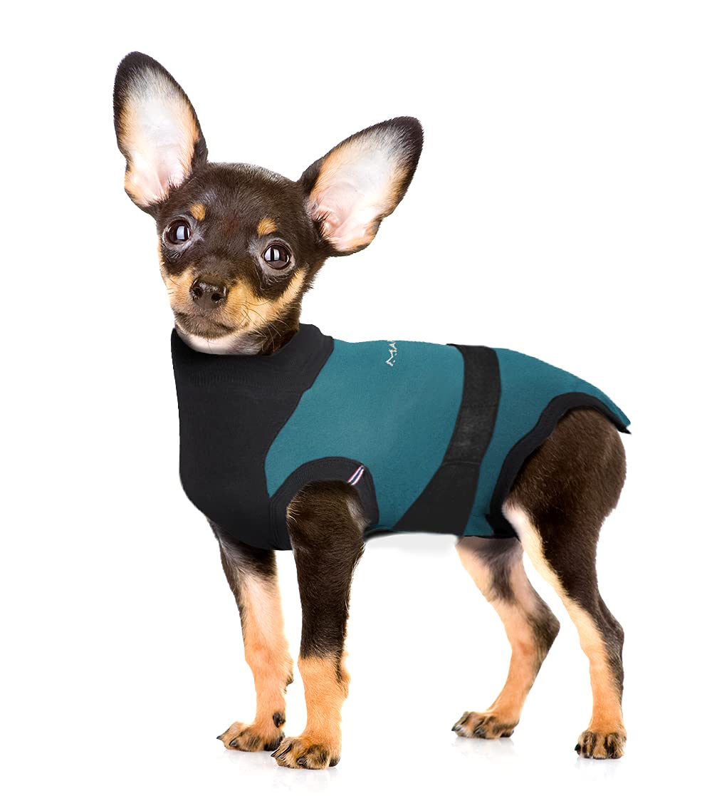 Maxx Hundekostüm, mit E-Halsband, alternative medizinische Haustierkleidung für Hunde und Katzen nach Operationen, Abdominal-Wundschutz Operation, Anti-Angstweste von Tierärzten, 3XS, Grün Grau