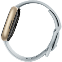 Fitbit Sense 2 - Soft Gold Aluminium - intelligente Uhr mit Band - Blue Mist - Bandgröße: S - NFC, Bluetooth (FB521GLBM)