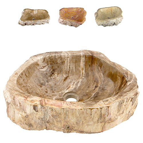 Divero Aufsatz - Waschbecken versteinertes Holz Waschschale Handwaschbecken Fossil ab 50 cm Länge innen poliert außen naturbelassen