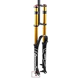 LSRRYD MTB Fahrradgabel 26 27,5 29 Zoll Doppelte Schulterkontrolle Downhill-Federung DH Luftdruck Gerades Rohr Ultraleicht Fahrrad Stoßdämpfer Rebound Adjust (Color : Gold, Size : 29 inch)