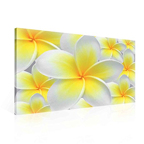 Blumen Frangipani Hawaiisch Natur Leinwand Bilder (PP123O1FW) - Wallsticker Warehouse - Size O1 - 100cm x 75cm - 230g/m2 Canvas - 1 Piece