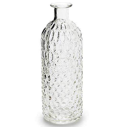 Annastore 12 x Vasen aus Glas im Vintage-Look 26 cm - Glasflaschen Deko Vasen Glasvasen Blumenvasen Flaschen Deko-Flaschen Größe H 26 cm