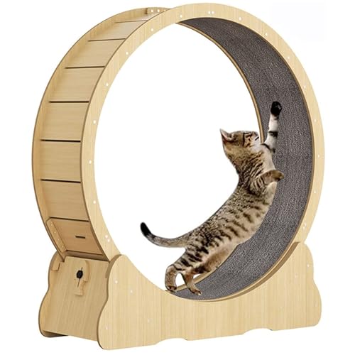 Katzenlaufrad für Indoor-Katzen, Katzenlaufräd, Einfach Montiertes Katzenlaufrad Katze mit Verriegelungsmechanismus, für die Gesundheit der Katze,S