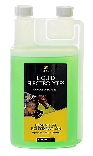 LINCOLN Flüssige Elektrolyte 1 Liter – für Pferde und Ponys