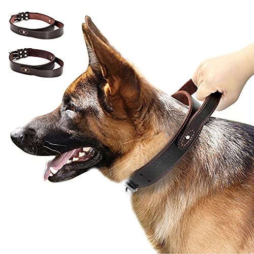 PET ARTIST Hundehalsband aus echtem Leder, mit Griff, strapazierfähig, für mittelgroße und große Hunde, zum Spazierengehen, Training, Boxer, Dobermann, Pitbull Bulldog
