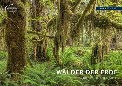 Wälder der Erde 2021 - Bild-Kalender - Wand-Planer - 70x50: Woods of the Earth