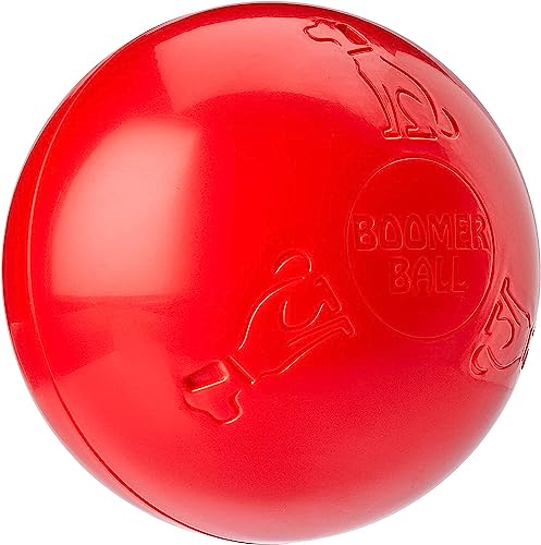 Company of Animals Boomer Ball, 25,4 cm (farblich sortiert)