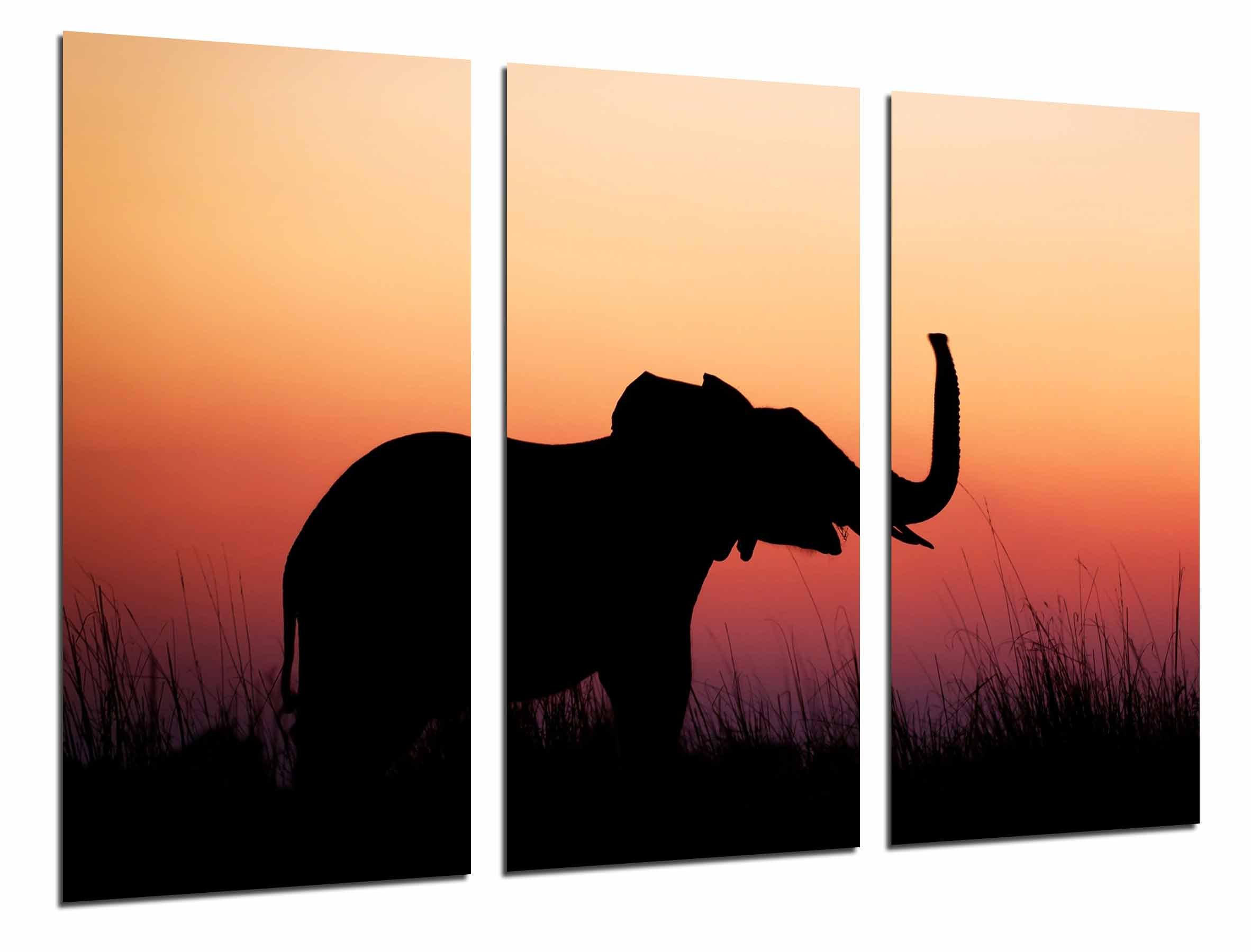 Wandbild - Tierkulisse-Elefant-züchtender Sonnenuntergang in der Natur, 97 x 62 cm, Holzdruck - XXL Format - Kunstdruck, ref.26815