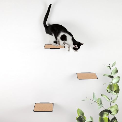 LucyBalu Katzentreppe Steps 3er Set I Individuelle Kletterwand für Katzen bis 10 kg I Kletterstufen mit 18 x 18 cm je Stufe (Anthrazit mit Kork)
