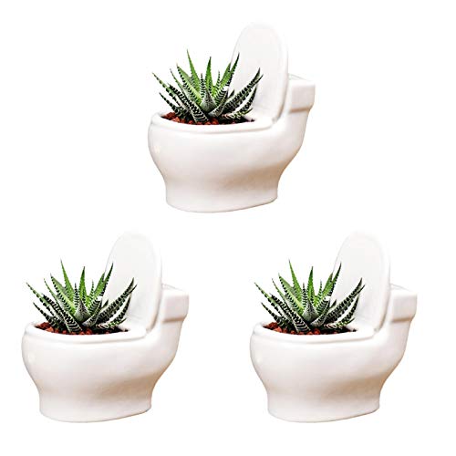 WUHUAROU 3 Stück Kreatives Pflanzgefäß Keramik fleischige Toilette Blumentopf Sukkulenten Pflanztopf Blumentopf Container Toilette Bonsai Topf Balkon Pflanztopf