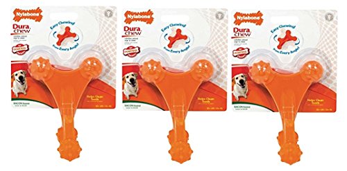 Nylabone Dura Kauspielzeug für Hunde, Knochen, 3er-Pack