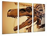 Wandbild - Archäologie, Fossil Dinosaurier Rex, Knochen und Zähne, 97 x 62 cm, Holzdruck - XXL Format - Kunstdruck, ref.26974