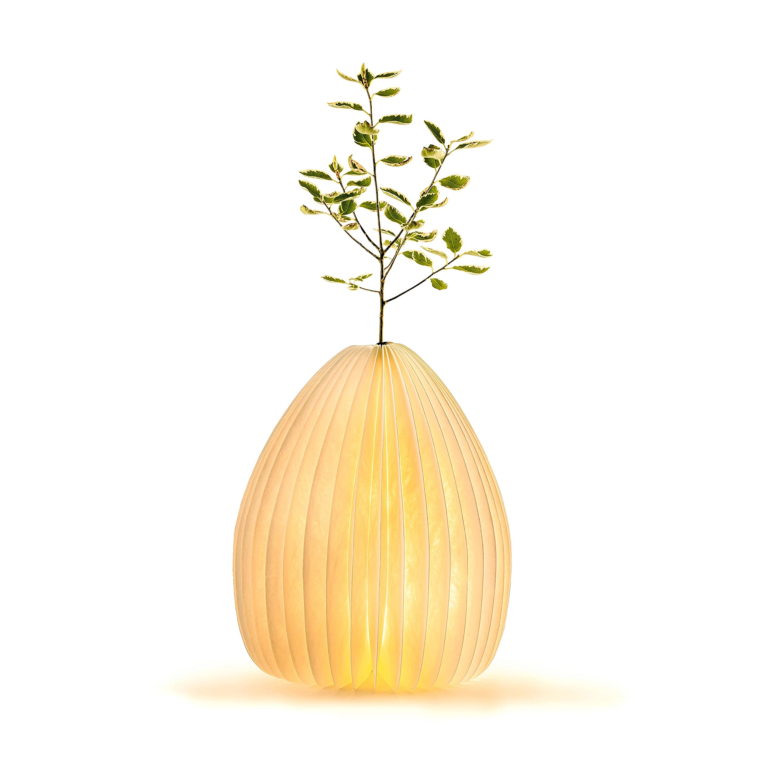 Gingko Design Smart Vase Light Lampe de Table Ampoule(s) Non remplaçable(s) 3 W LED Noyer, Blanc