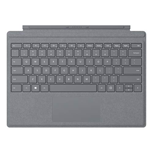 Microsoft Surface Go Signature Type Cover, Holzkohle, Cover Port