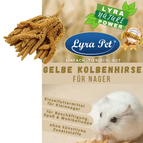 Lyra Pet® 10 kg gelbe Kolbenhirse Kleinnager Hirse Streufutter Nagerfutter Nager Kleintier