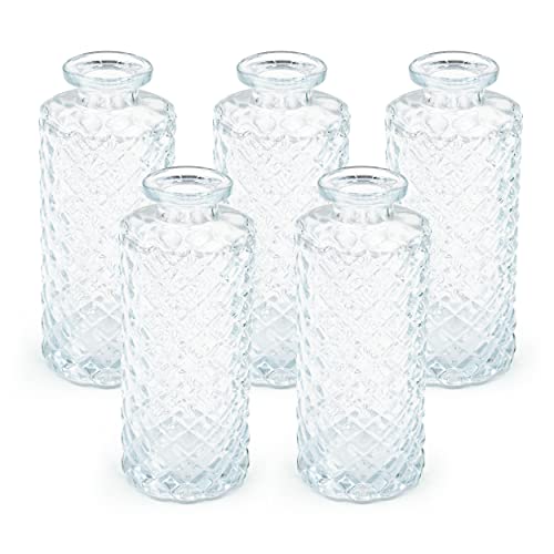 Blümelhuber 5er Set Kleine Vase Glas Deko Hochzeit - Vase Klein - Vase Modern - Deko Frühling - Pflanzen Deko Trockenblumen Set Vasen Hochzeitsdeko (Weiß)