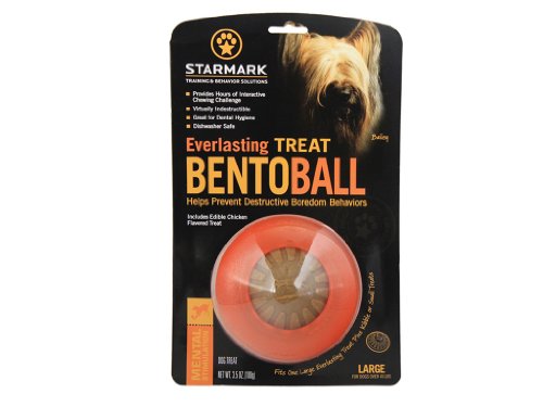 Starmark Everlasting Treat Bento-Ball, robust, groß
