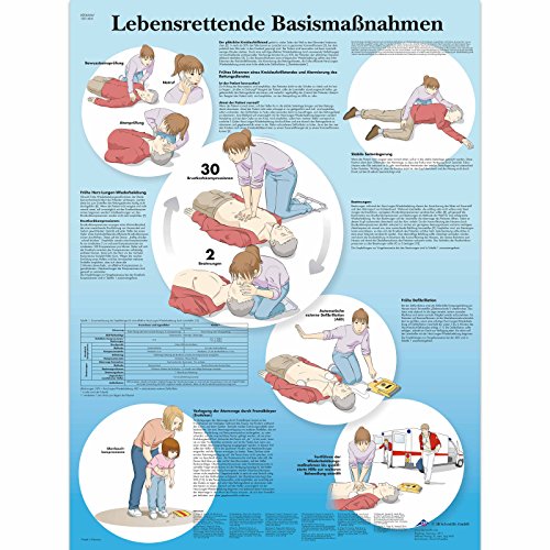 3B Scientific Lehrtafel laminiert - Lebensrettende Basismaßnahmen